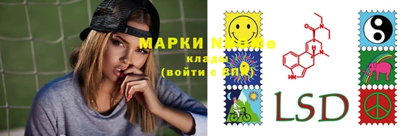 стаф Алексин
