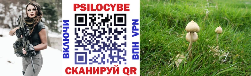 как найти   Мирный  Псилоцибиновые грибы ЛСД 